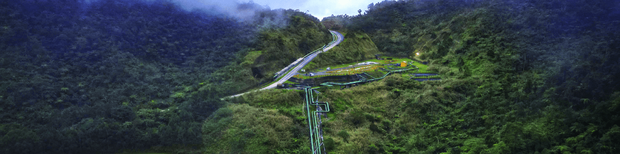 Our chosen path
